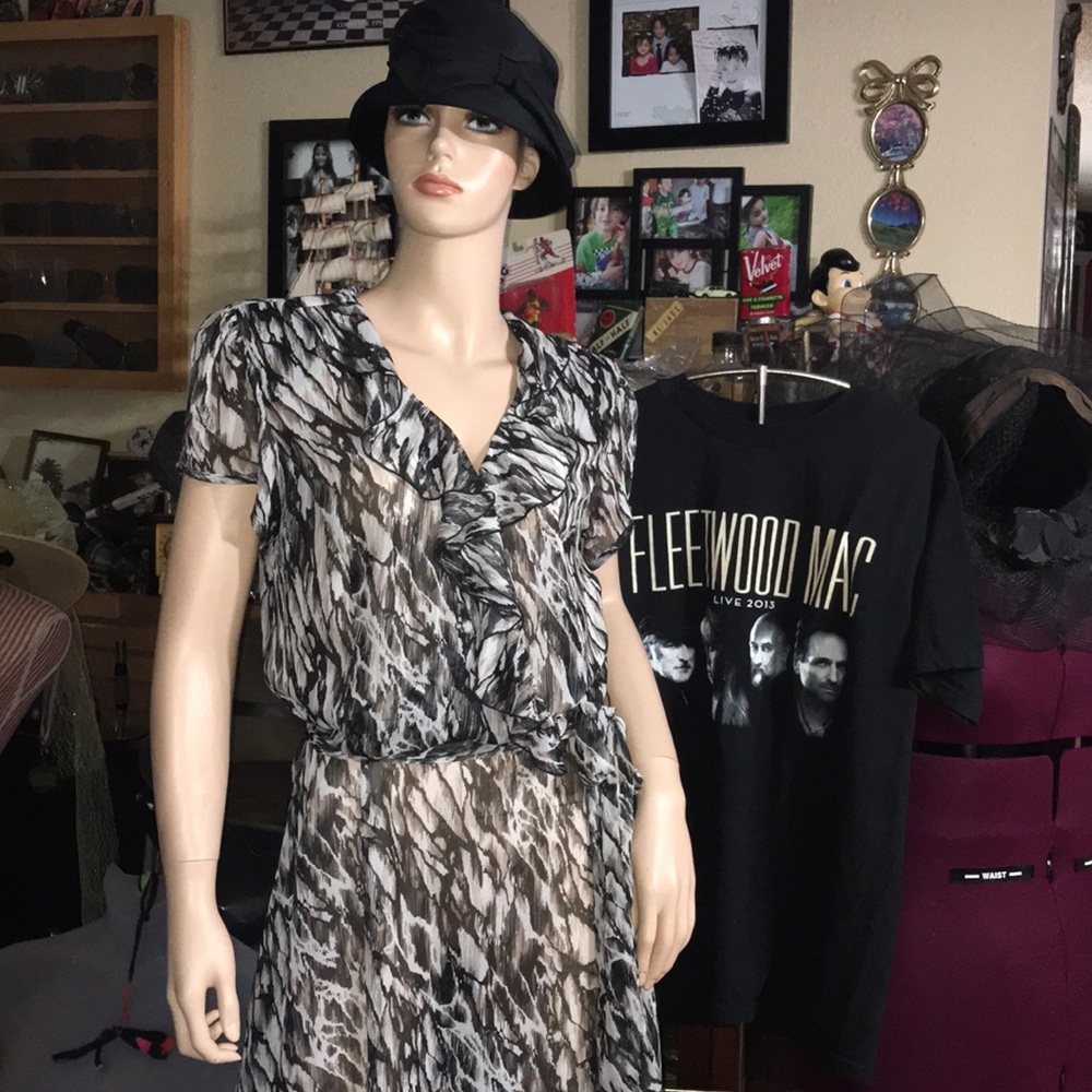 Dress Barn Sheer Ruffles Dress